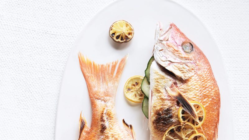 Salmon Restaurant Fishes